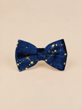 Celestial Dreams Velvet Dog Bow