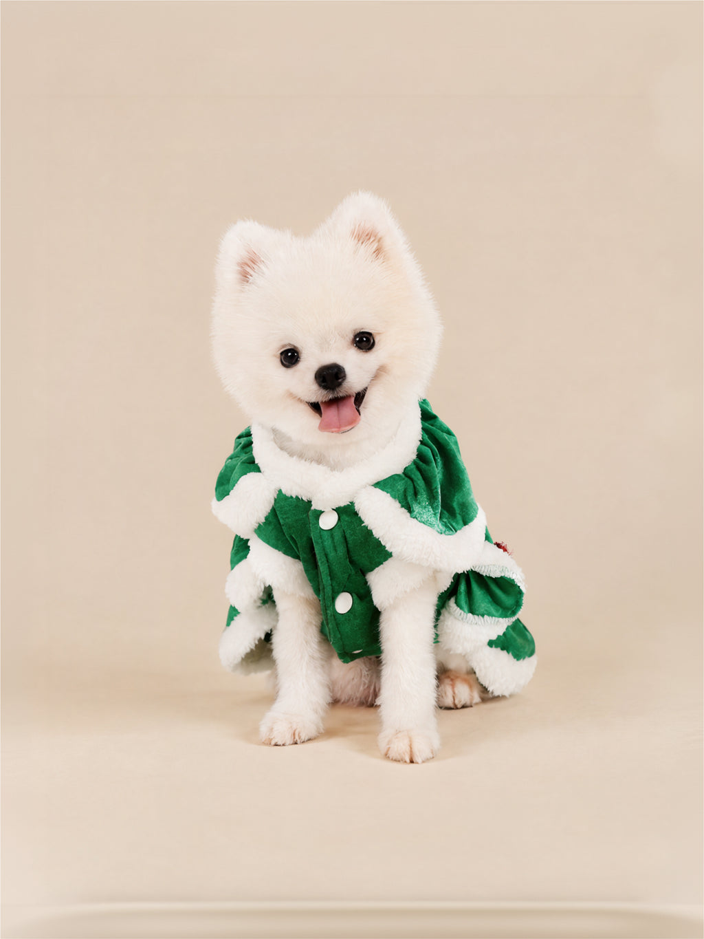 Merry Christmas Tree Dog Dress