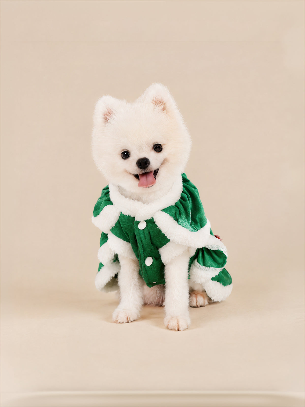 Merry Christmas Tree Dog Dress