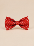 Polka Dot Dog Bow | Red