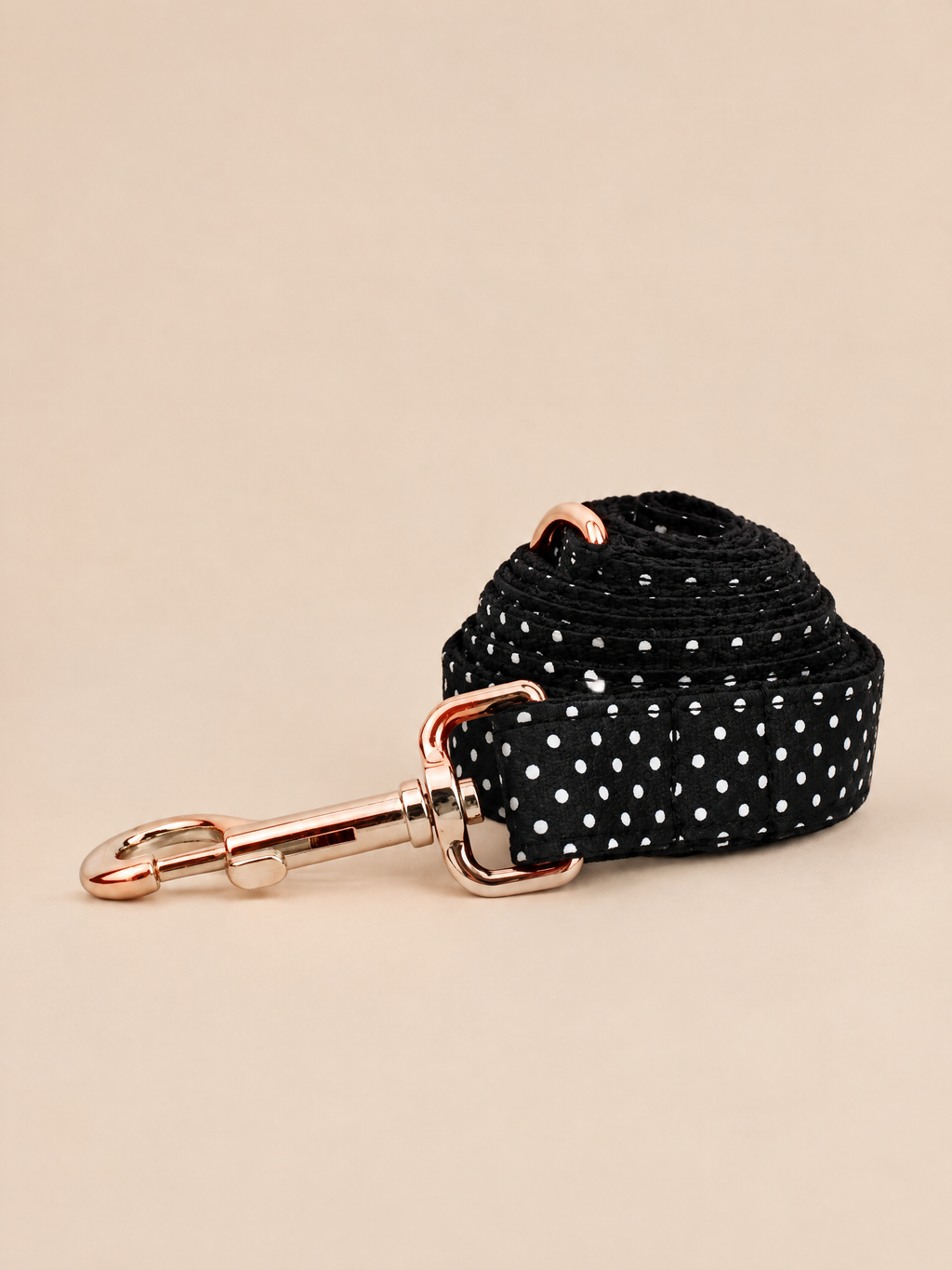 Polka Dot Dog Collar | Black
