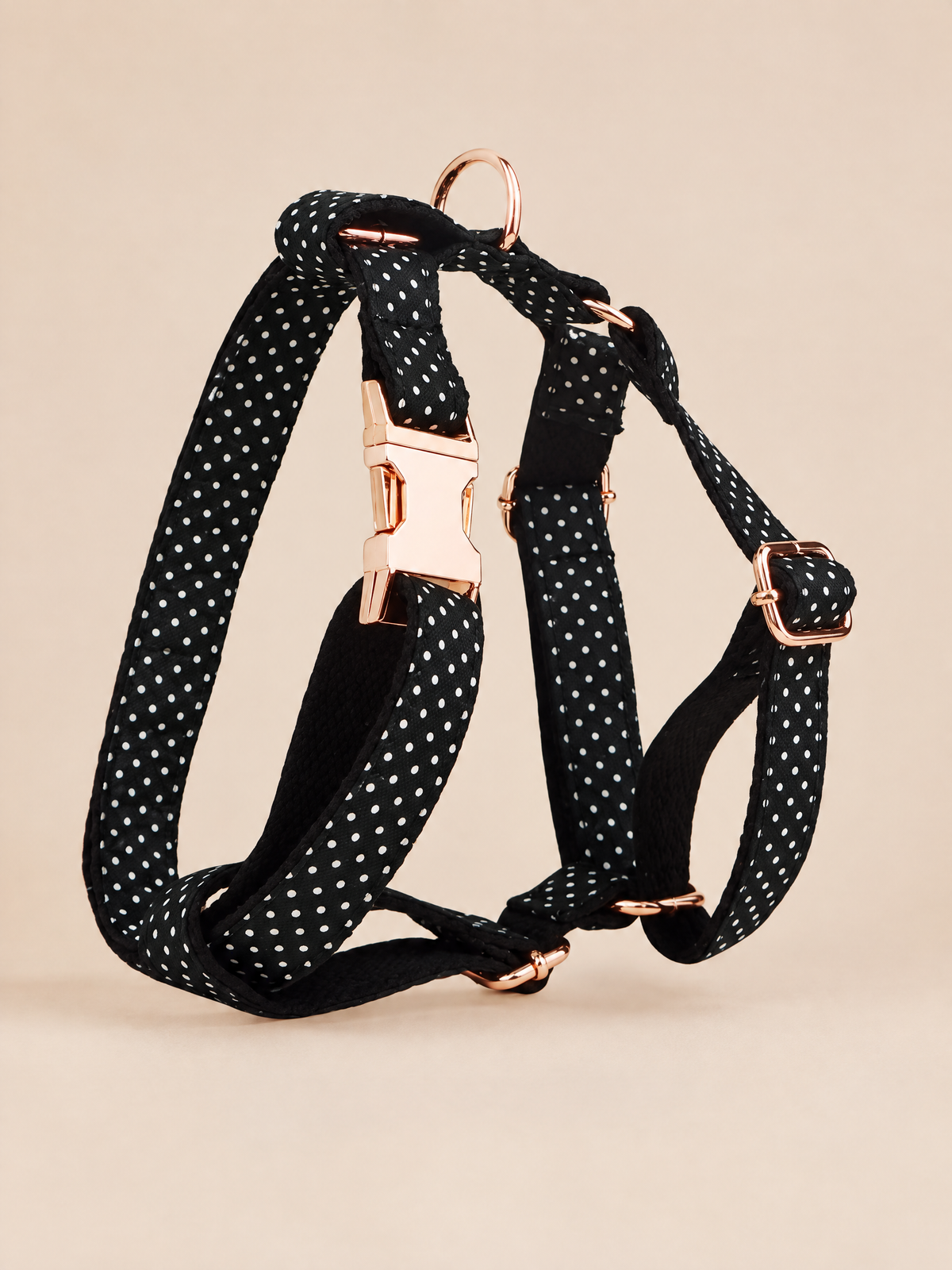 Polka Dot Dog Collar | Black