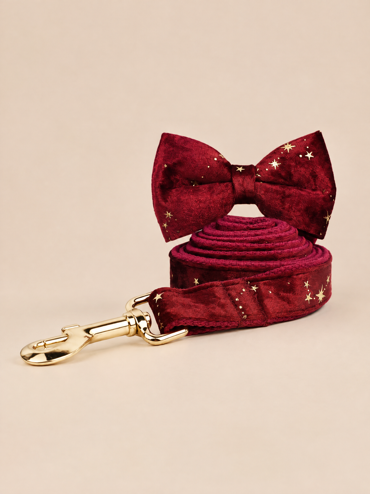 Celestial Dreams Velvet Dog Collar | Burgundy