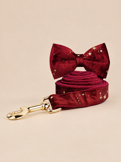 Celestial Dreams Velvet Dog Collar | Burgundy