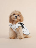 Black Heart Ruffle Dog Dress | White