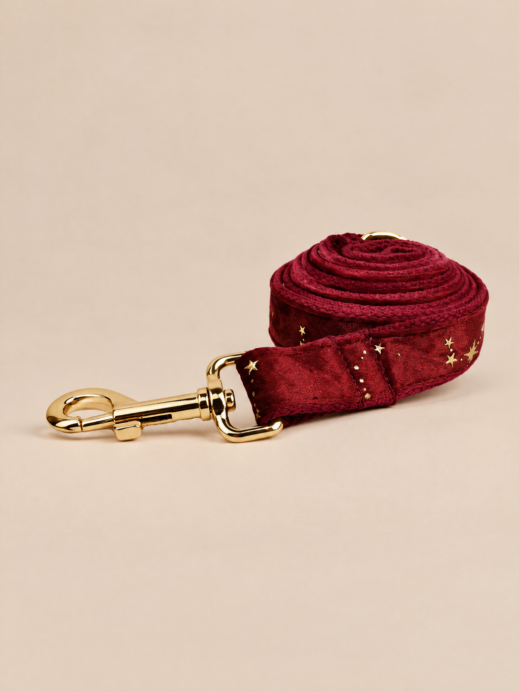 Celestial Dreams Velvet Dog 4-Piece Walk Set | Burgundy