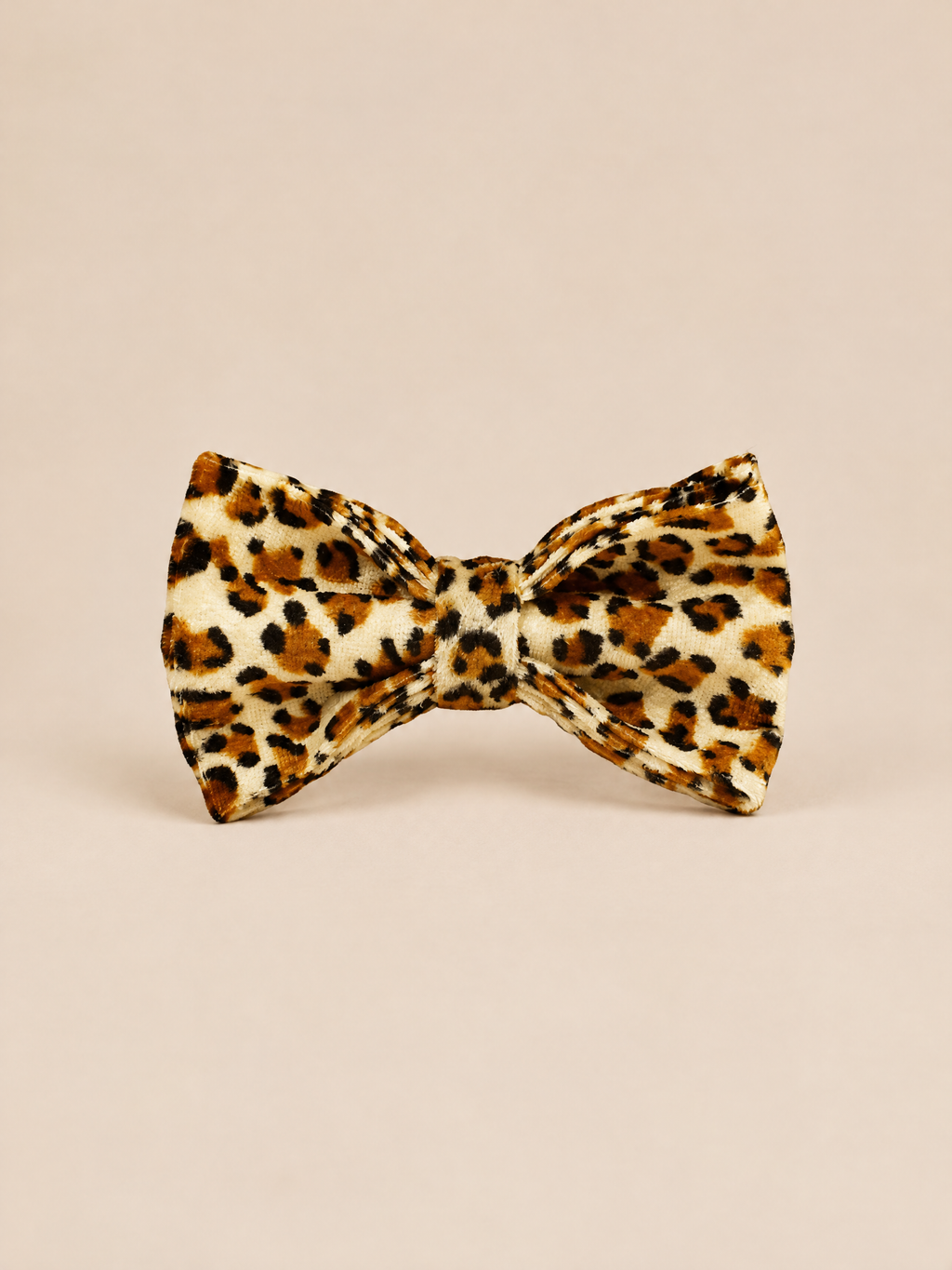 Classic Velvet Dog Collar | Leopard