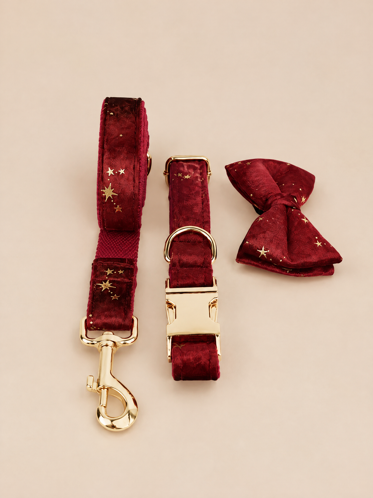 Celestial Dreams Velvet Dog 4-Piece Walk Set | Burgundy