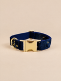 Celestial Dreams Velvet Dog Collar