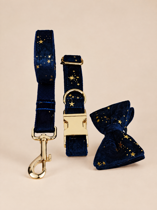 Celestial Dreams Velvet Dog Bow
