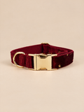 Celestial Dreams Velvet Dog Collar | Burgundy
