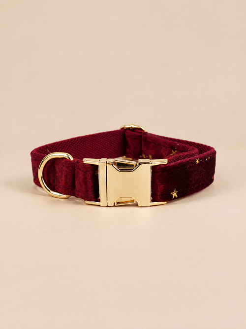 Celestial Dreams Velvet Dog 4-Piece Walk Set | Burgundy