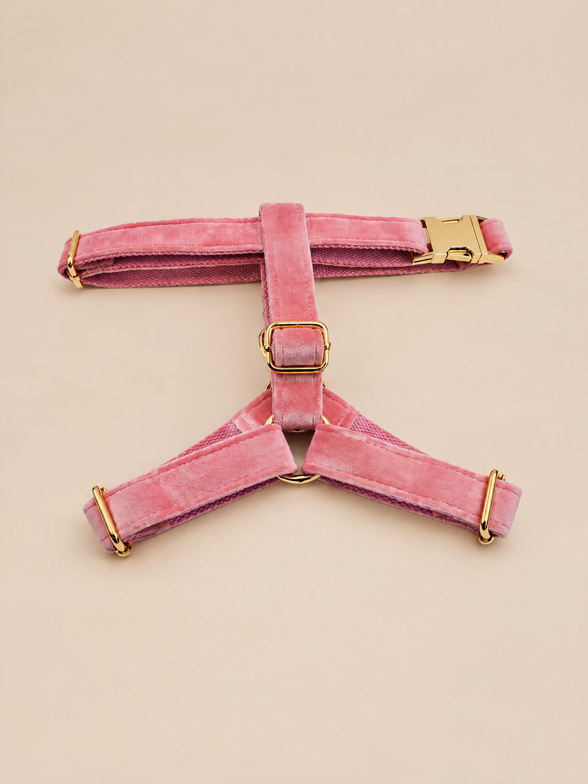 Classic Velvet Dog 4-Piece Walk Set | Pink