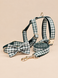 Heritage Plaid Dog 4-Piece Walk Set | Green