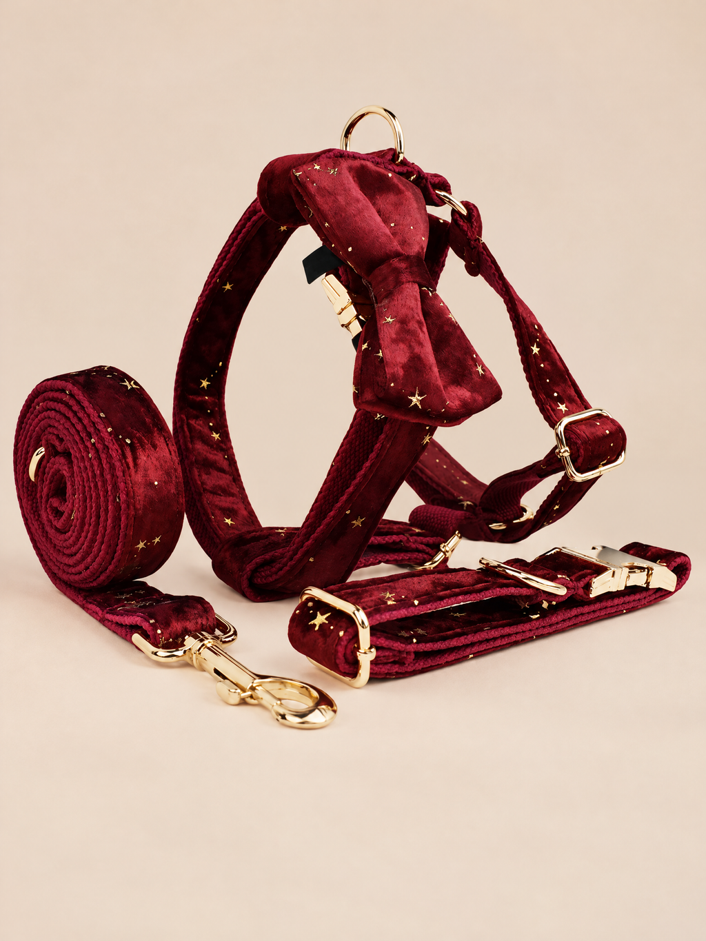 Celestial Dreams Velvet Dog 4-Piece Walk Set | Burgundy