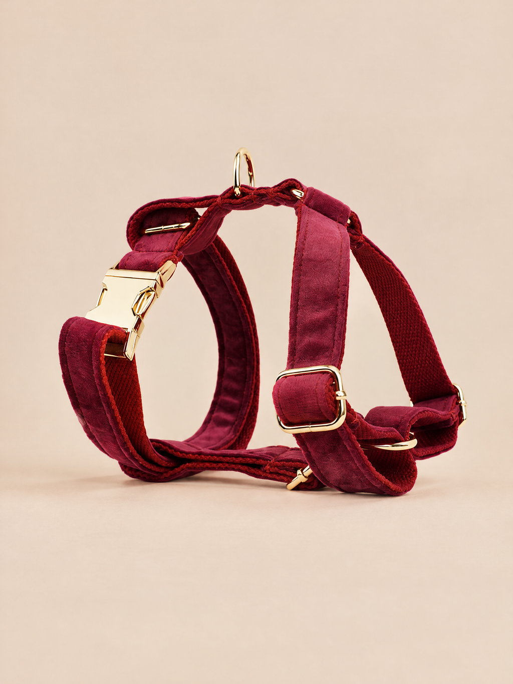 Classic Velvet Dog 4-Piece Walk Set | Red