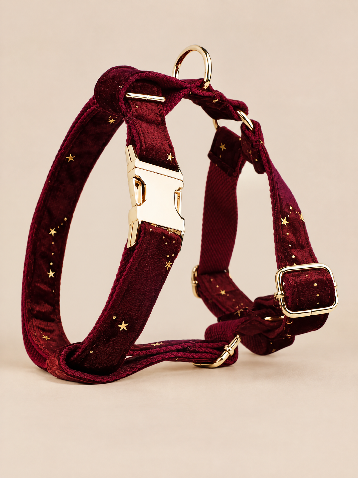 Celestial Dreams Velvet Dog 4-Piece Walk Set | Burgundy