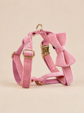 Classic Velvet Dog 4-Piece Walk Set | Pink