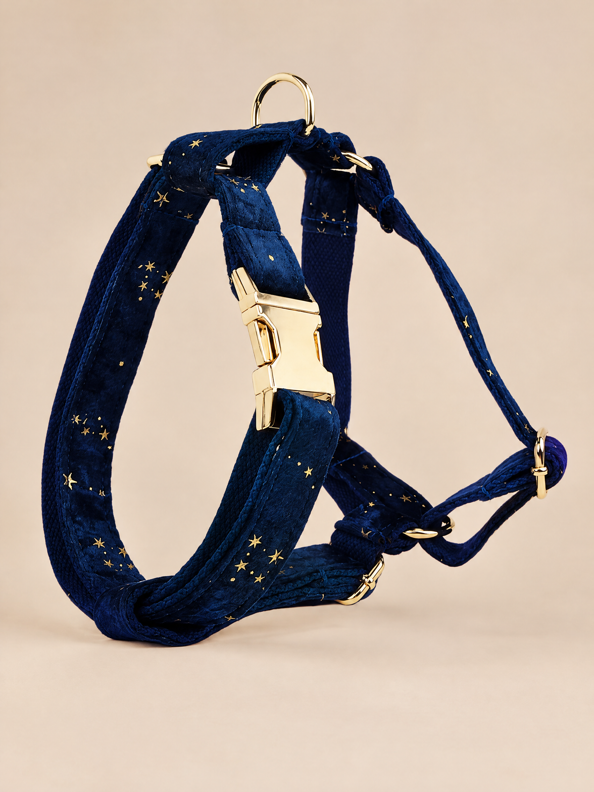 Celestial Dreams Velvet Dog Collar
