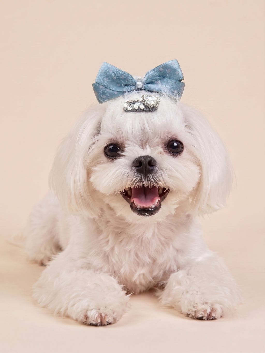 Dog Polka Dot Pearl Bow Clip | Blue