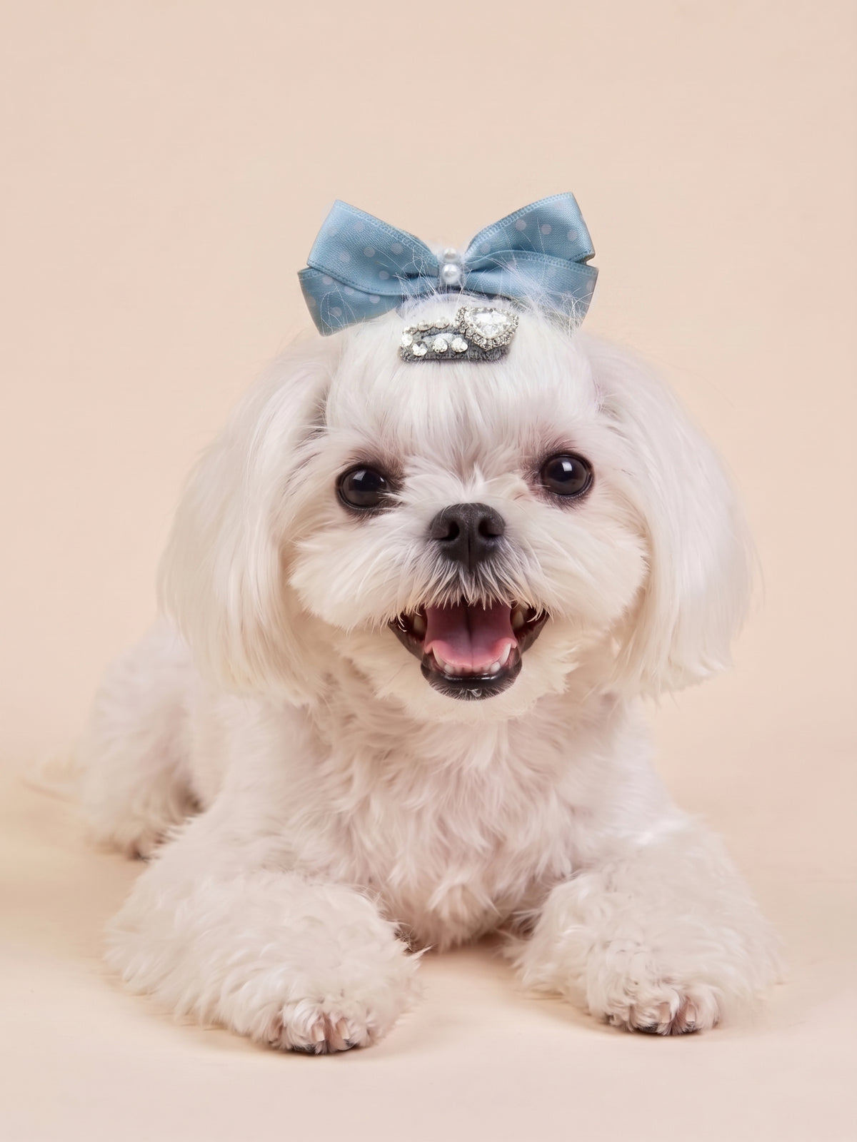 Dog Polka Dot Pearl Bow Clip | Blue