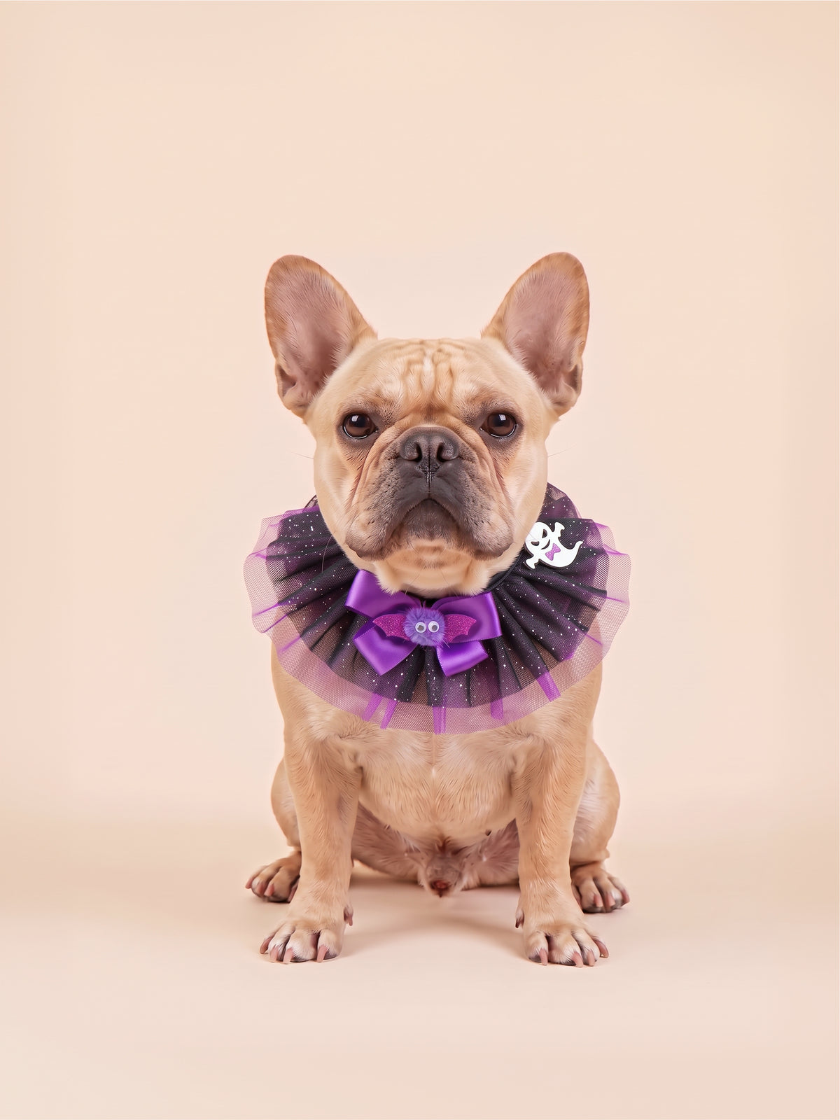 Spooky Spider & Ghost Halloween Pet Ruff Collar
