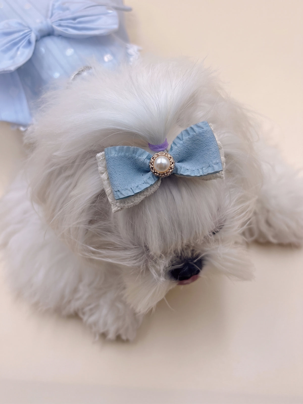 Dog Pearl Blue Ribbon Dog Hair Clip | Blue