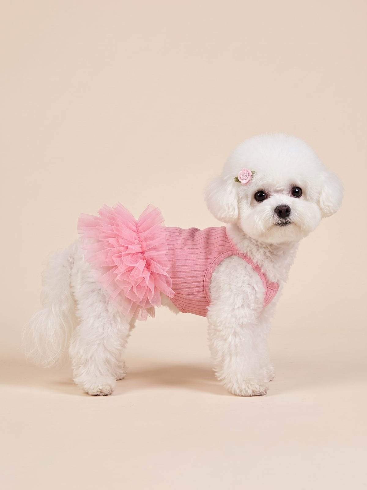 Dog Pink Ribbed Tutu Dress | Pink
