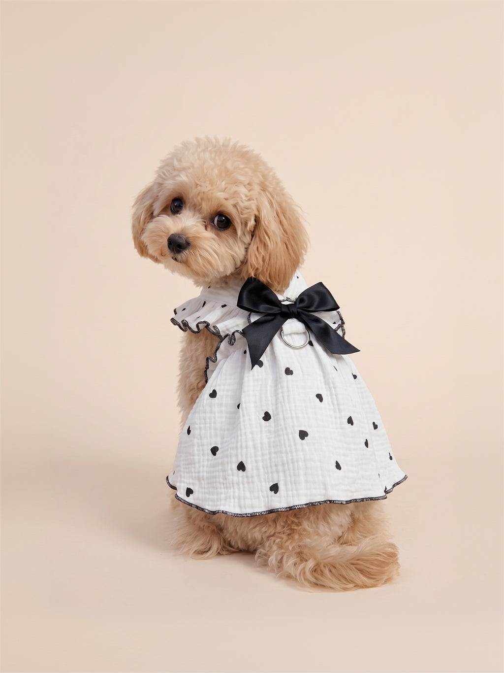 Black Heart Ruffle Dog Dress | White
