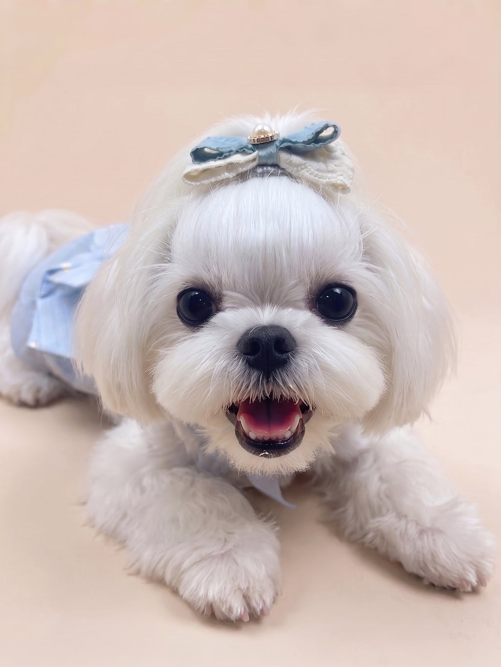 Dog Pearl Blue Ribbon Dog Hair Clip | Blue
