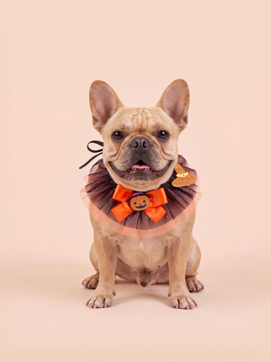 Halloween Witch & Pumpkin Pet Ruff Collar
