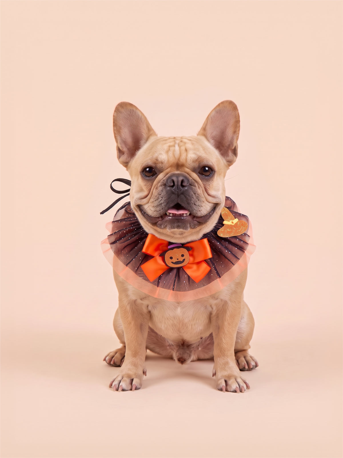 Halloween Witch & Pumpkin Pet Ruff Collar
