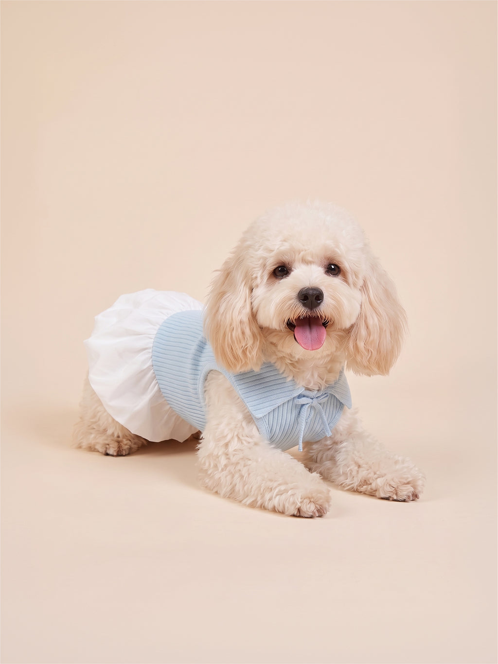 Dog Sweet Bow Ribbed Collar Dress | Blue
