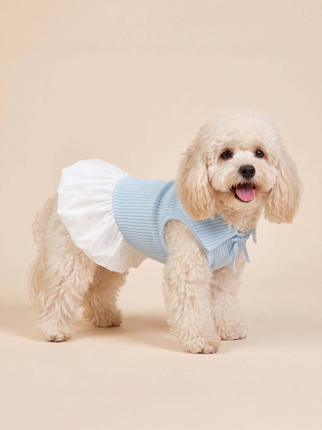 Dog Sweet Bow Ribbed Collar Dress | Blue