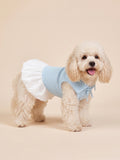Dog Sweet Bow Ribbed Collar Dress | Blue