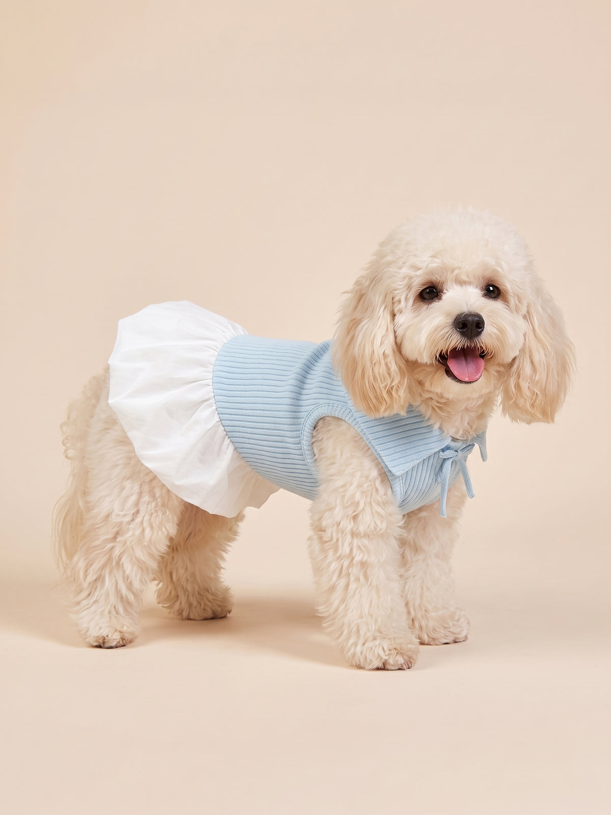 Dog Sweet Bow Ribbed Collar Dress | Blue